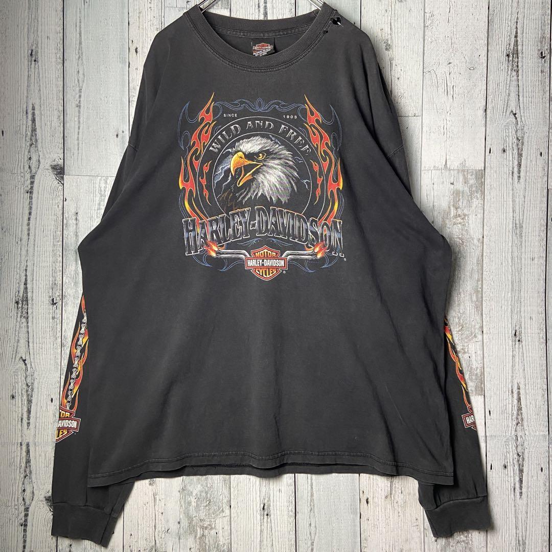 ハーレーダビッドソン　イーグル　フレイムパターンアームプリント　Tシャツ　ロンT ハーレーダビッドソン イーグル フレイムパターンアームプリント