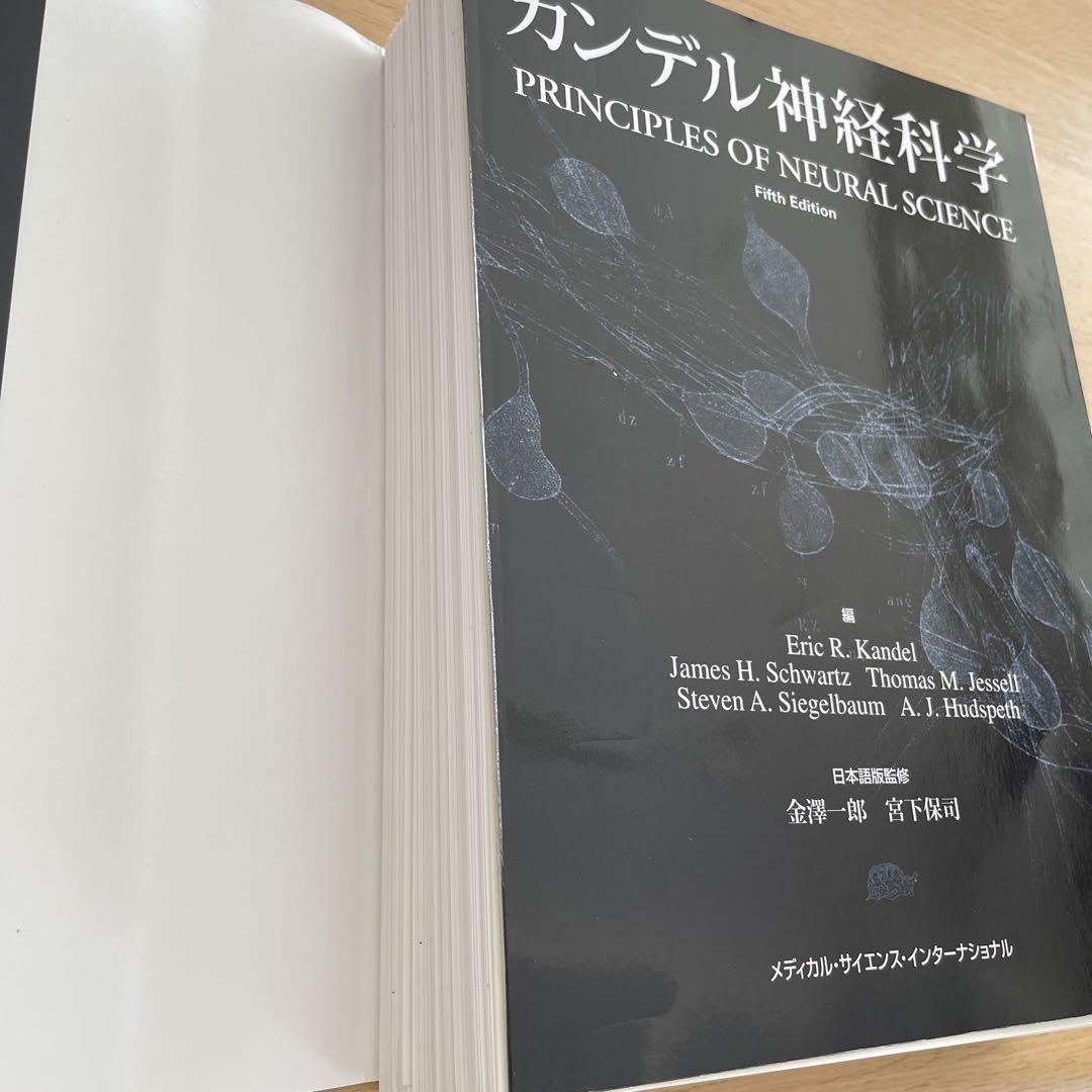 SALE‼️裁断済　カンデル神経科学　5th Edition