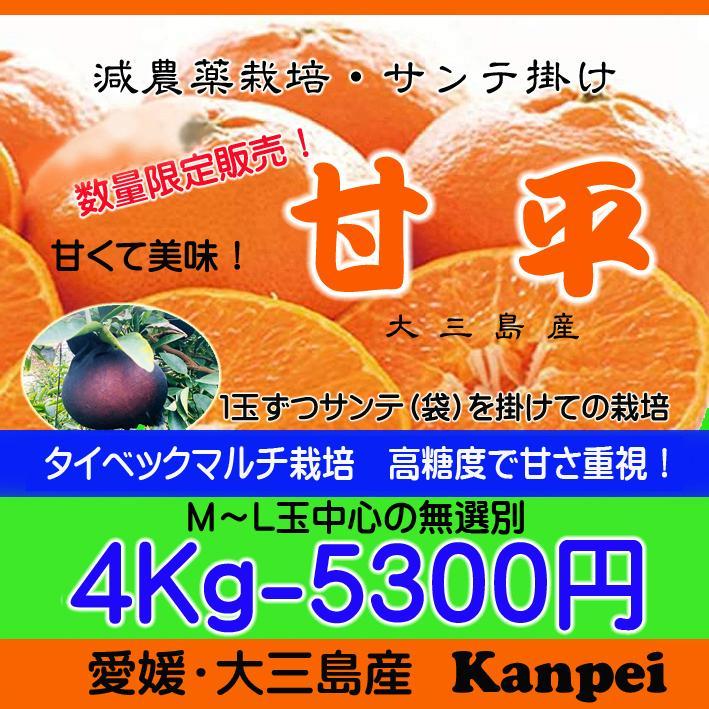 M～L玉甘平4Kg　専用ページ不可！最終間近・限定商品・タイベックマルチ栽培 4,823円