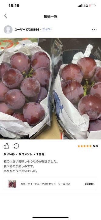 最大47%OFFクーポン トシ様専用 www.anavara.com 最大47%OFFクーポン トシ様専用 www.anavara.com