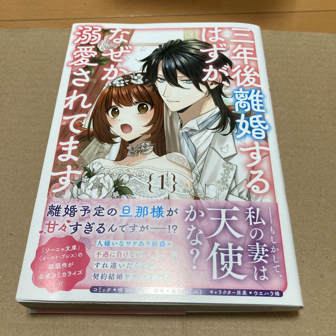 書籍詳細 - 三年後離婚するはずが、なぜか溺愛されてます～蜜月