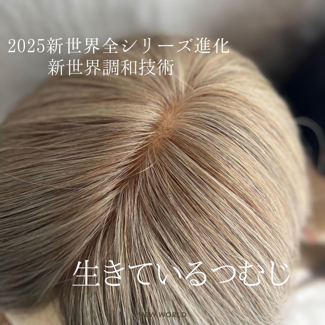2025新世界ウィッグ高級人毛100% レミー人毛【総手植え】Mサイズ 2025新世界ウィッグ高級人毛100% レミー人毛【総手植え】Mサイズ