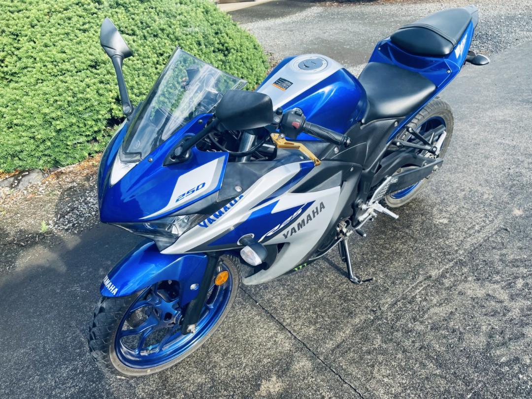 ✟