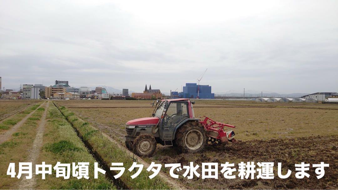 特別栽培 新潟の高級米 新之助 30㌔玄米 田植え後農薬は除草剤のみ