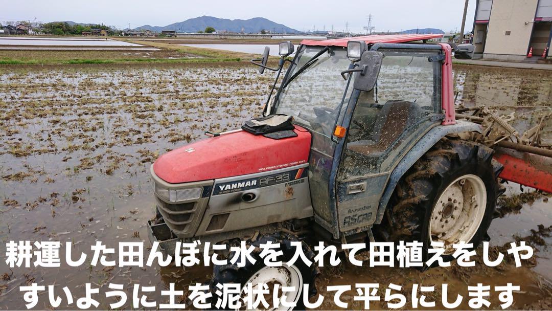 特別栽培 新潟の高級米 新之助 30㌔玄米 田植え後農薬は除草剤のみ