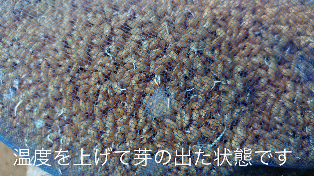 特別栽培 新潟の高級米 新之助 30㌔玄米 田植え後農薬は除草剤のみ