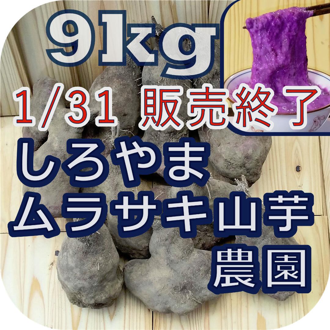 紫山芋(土付き)9kg