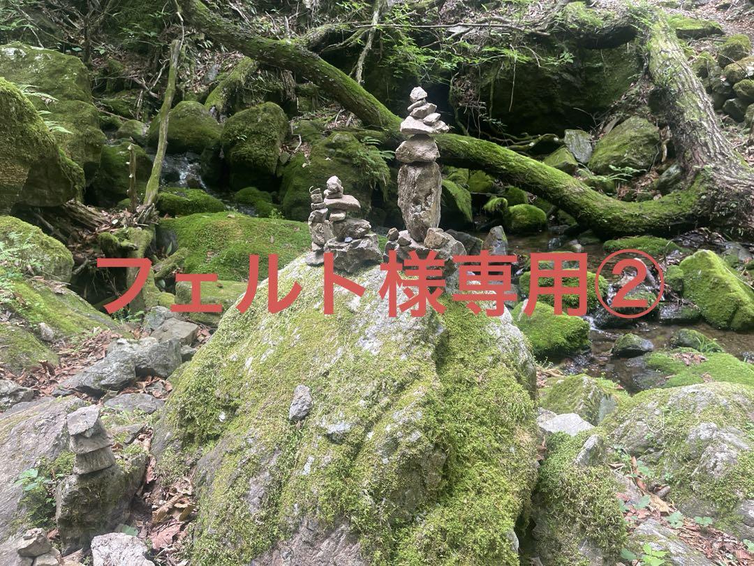 フェルト②