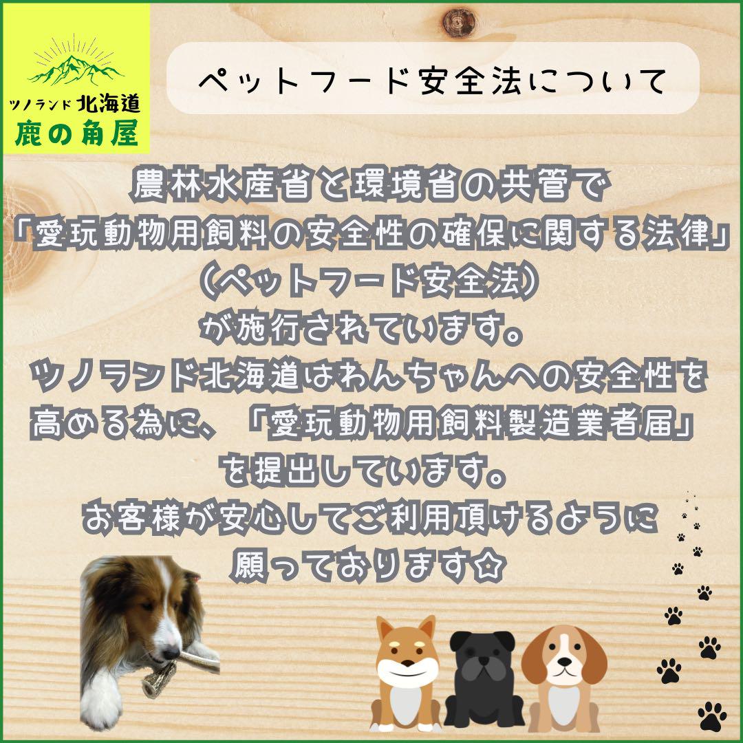 ⭐︎現物⭐︎鹿の角⭐︎S×2本セット⭐︎角先⭐︎犬のおもちゃ