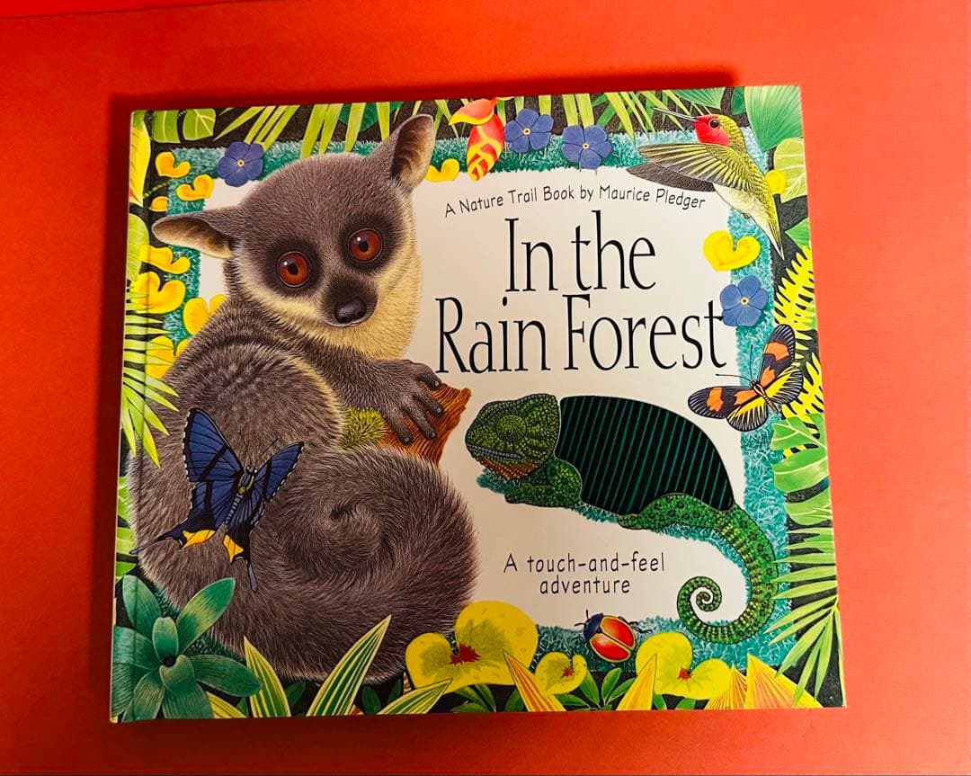 英語絵本 25冊 まとめ売り - メルカリ 英語絵本 25冊 まとめ売り - メルカリ