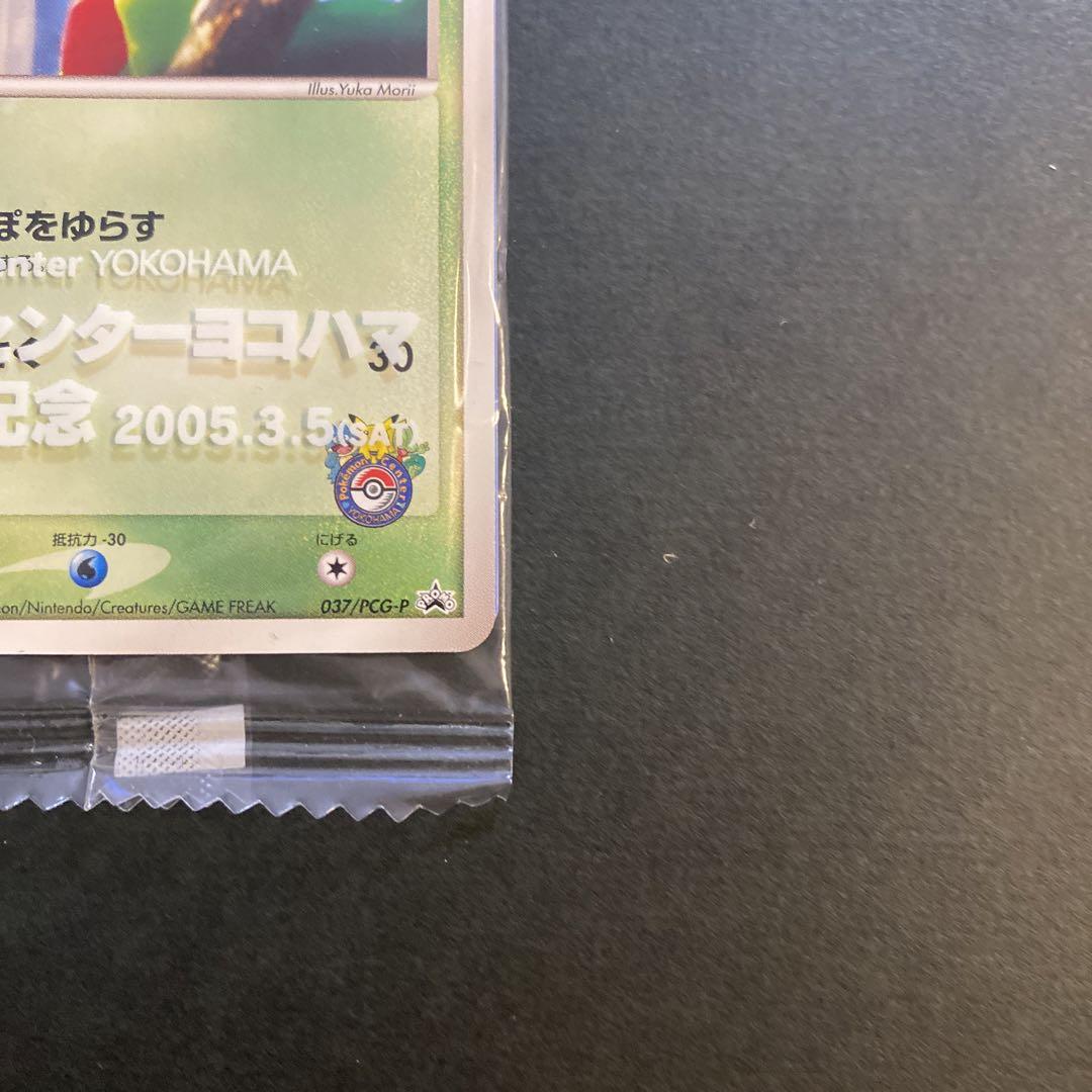 【新品未開封】キモリ　プロモ　ポケモンセンターヨコハマオープン記念