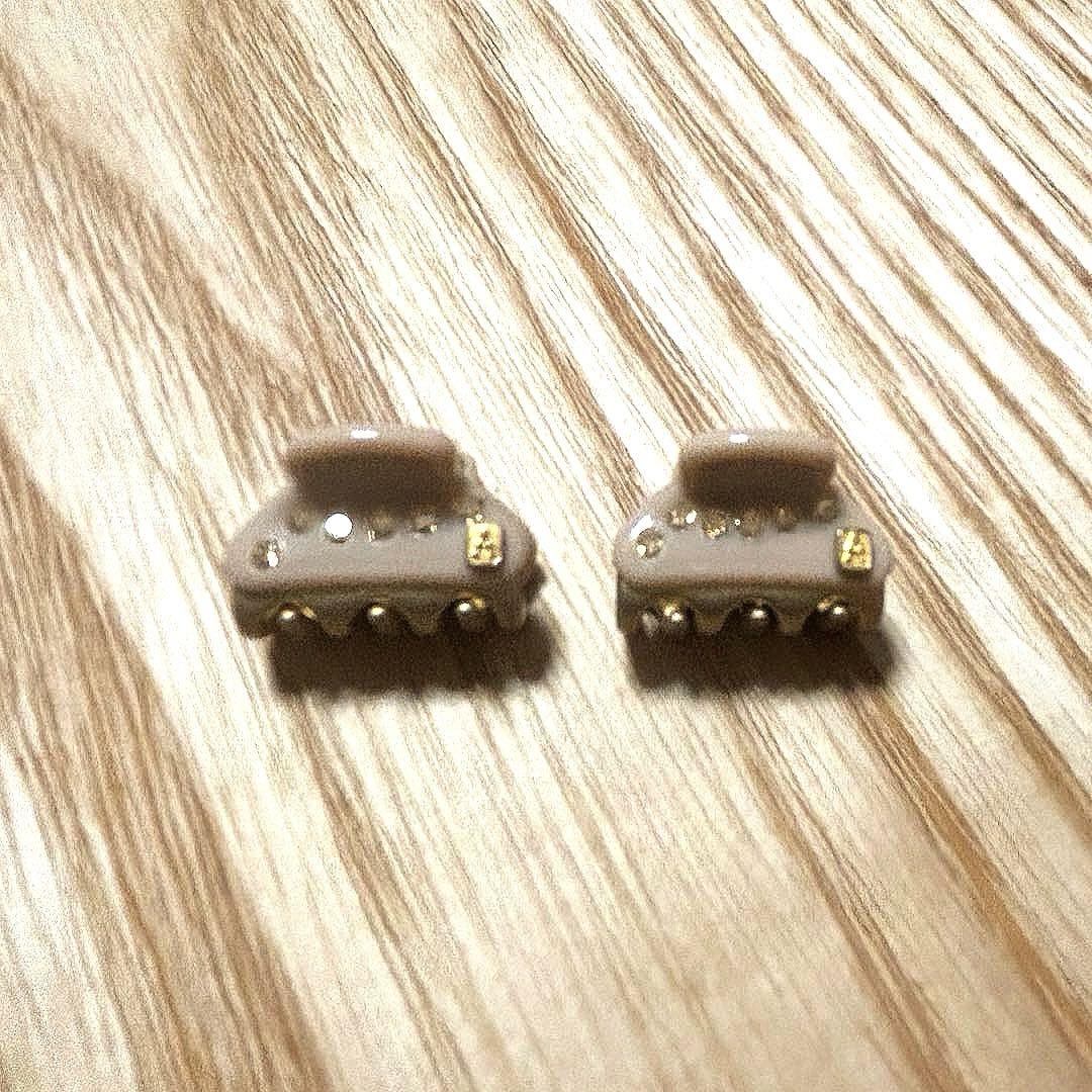 アレクサンドルドゥパリMicroサイズ ヴァンドームクリップベージュ2個セット