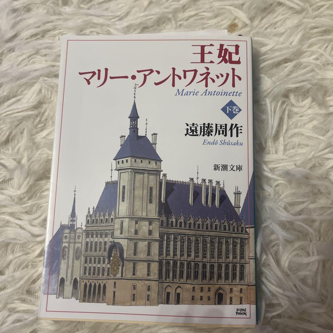 王妃マリー・アントワネット 下