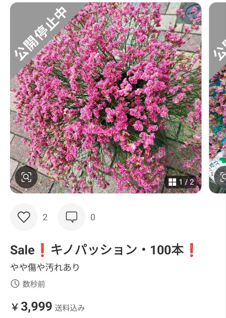 Sale❗️ブリスピンク・100本❗️他同梱多数❗️