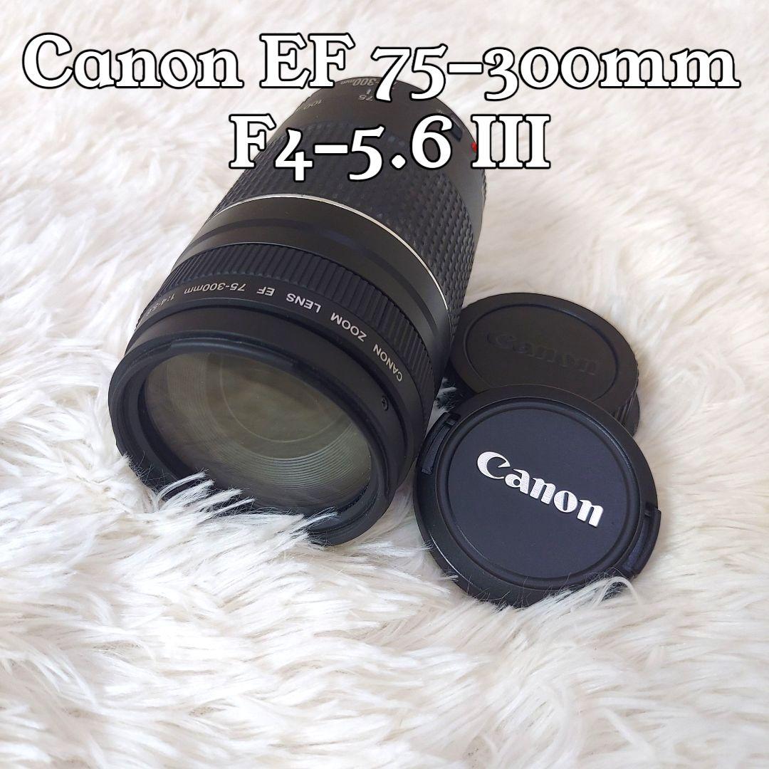 【動作品】Canon EF 75-300mm F4-5.6 III 望遠レンズ