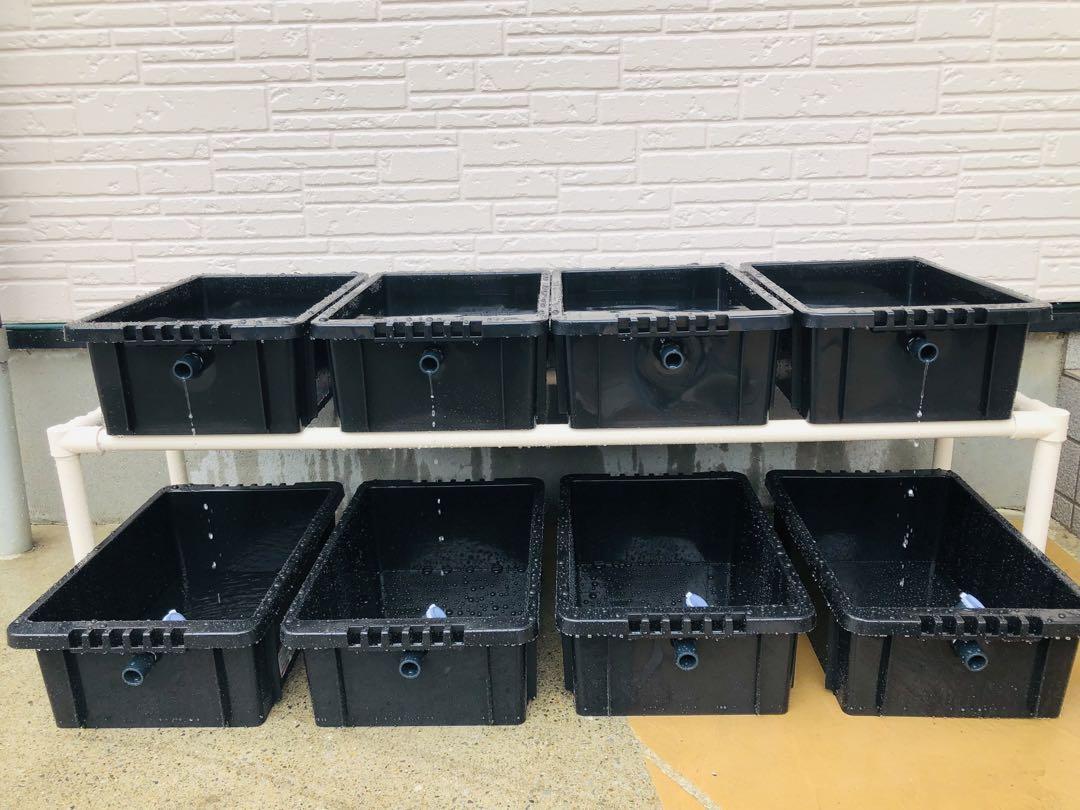 メダカ飼育ラック ブラック【接着剤付】 NVBOX13を8個置けます メダカ飼育ラック ブラック【接着剤付】 NVBOX13を8個置けます