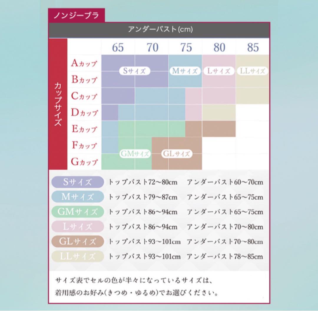 新品　ノンワイヤーブラ【Nongy（ノンジー）】シェイディングブルー　上下　LL