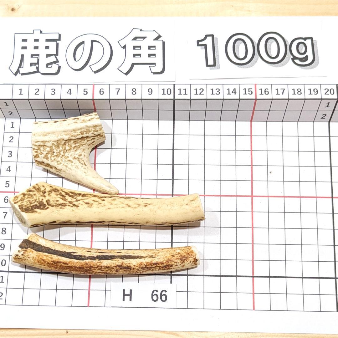 鹿の角 66 3本セット 100g 兵庫県産 鹿角 鹿のツノ しかつの