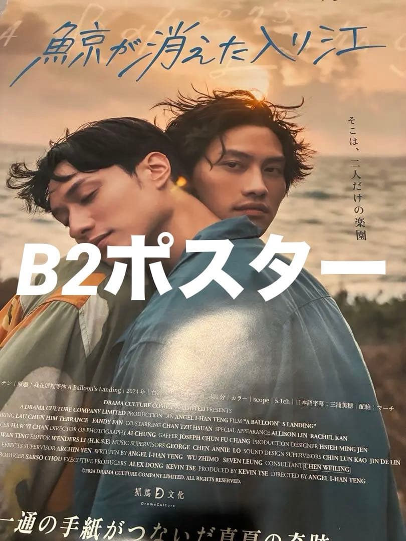 鯨が消えた入り江 B2ポスター