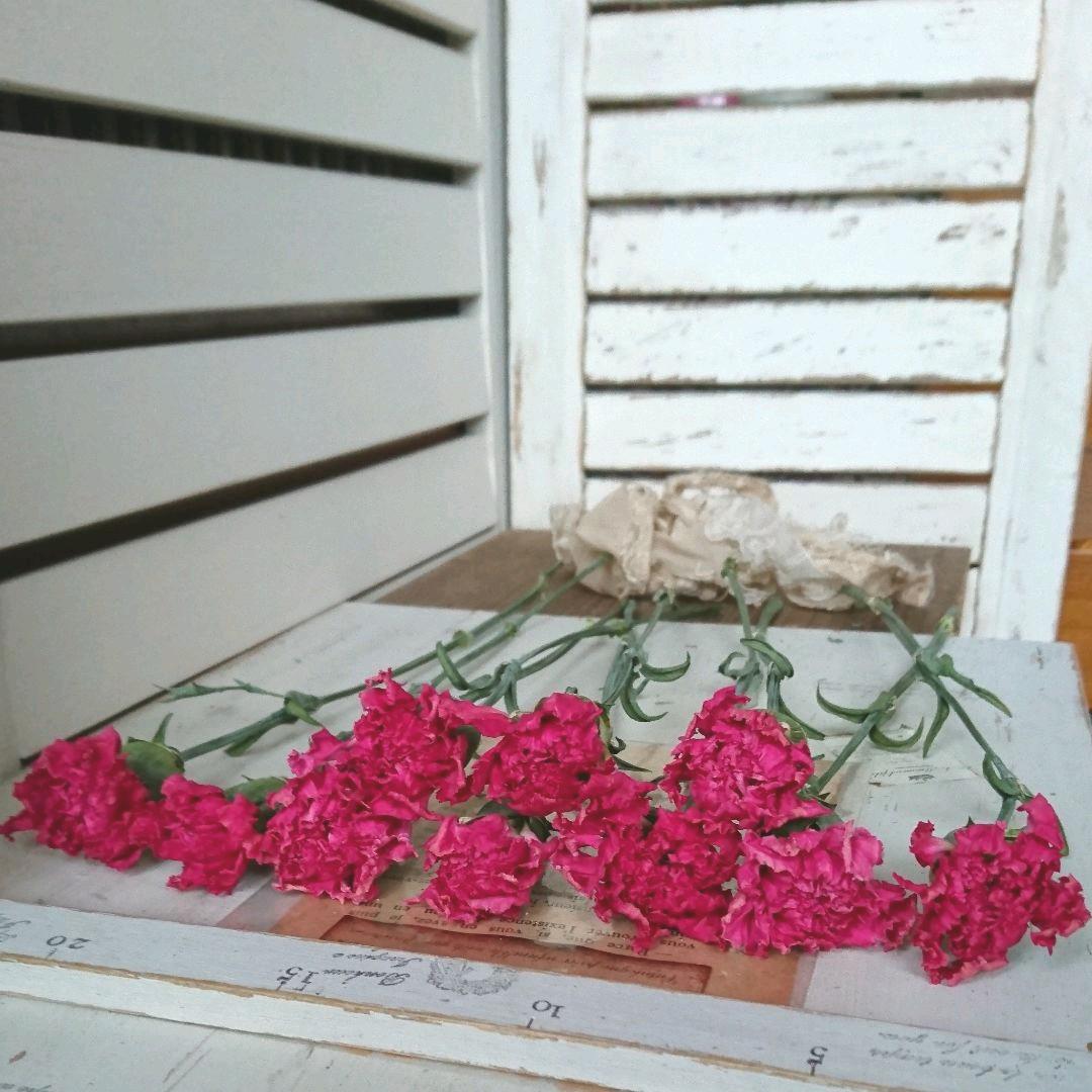 R様♥️専用*カーネーション✳️ドライフラワー R様♥️専用*カーネーション✳️ドライフラワー