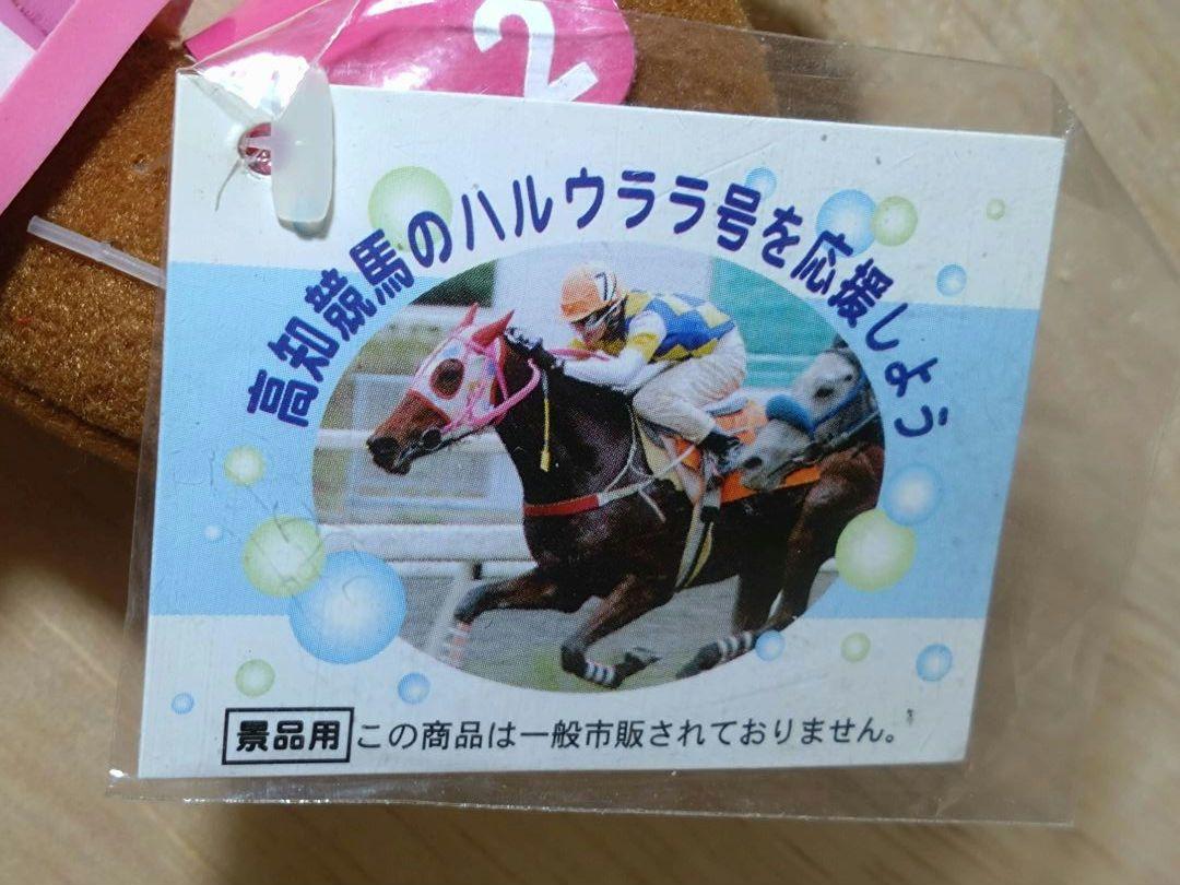 ハルウララ馬券付きぬいぐるみキーホルダー☆高知競馬サポート