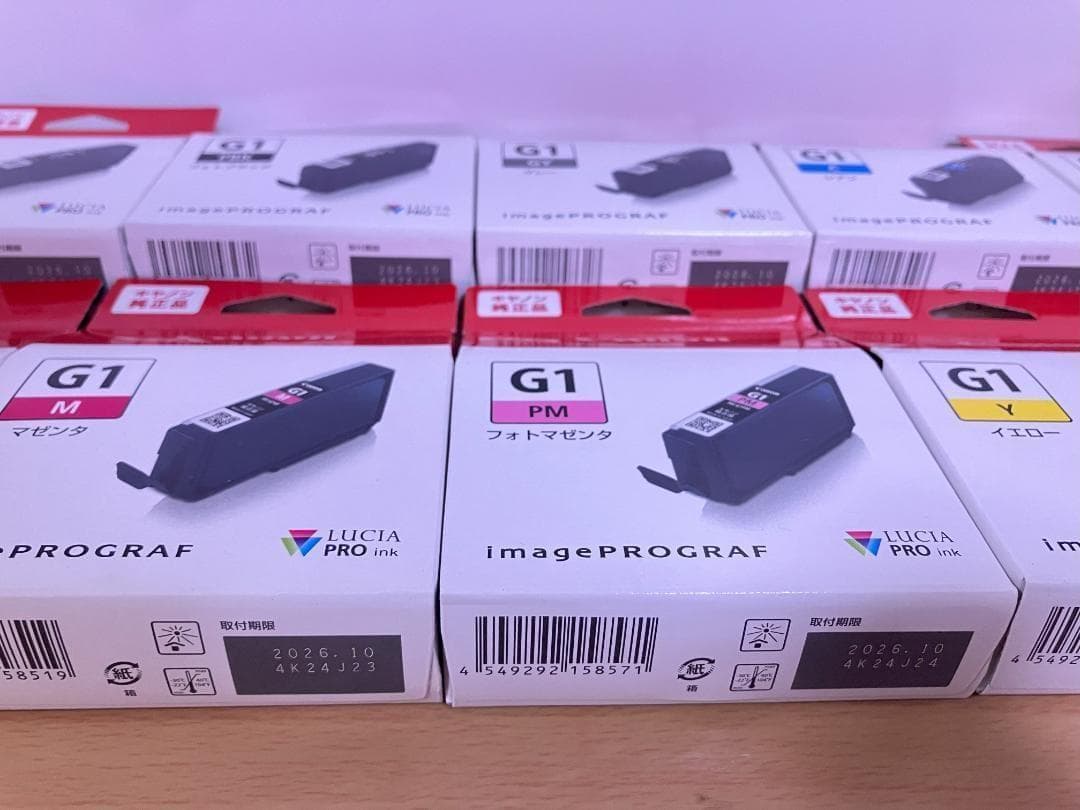キヤノン PRO-G1 純正 インク 10個 CANON カートリッジ