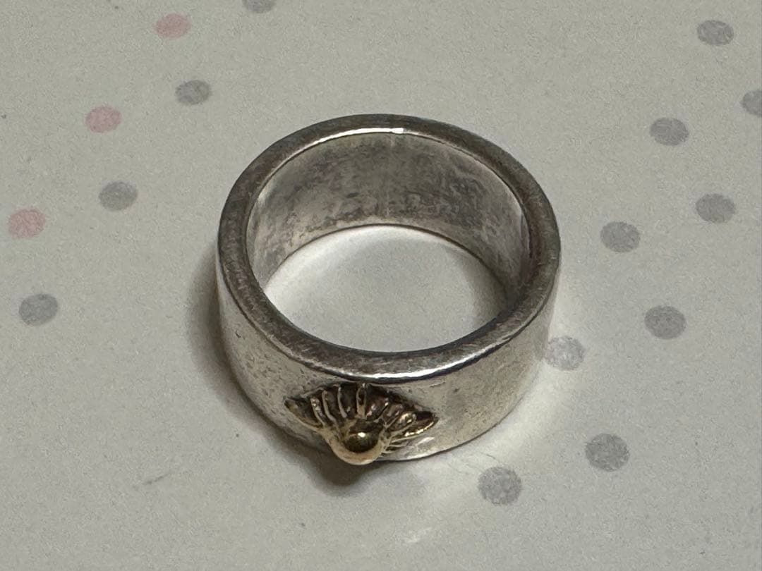 アリゾナフリーダムのリング　その２