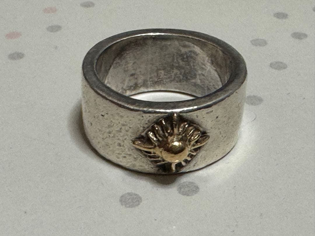 アリゾナフリーダムのリング　その２