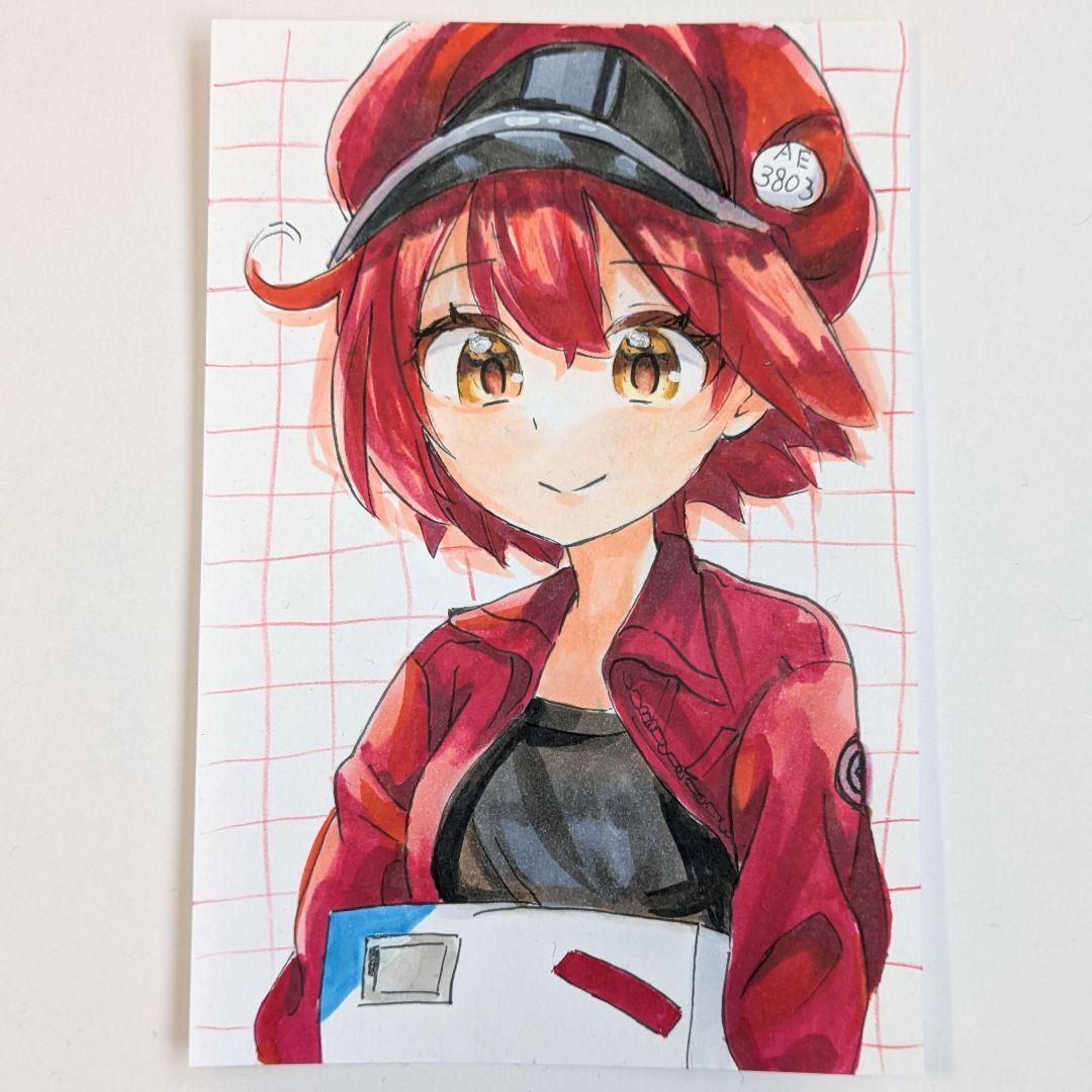 はたらく細胞 赤血球 手描きイラスト ハガキサイズ - メルカリ
