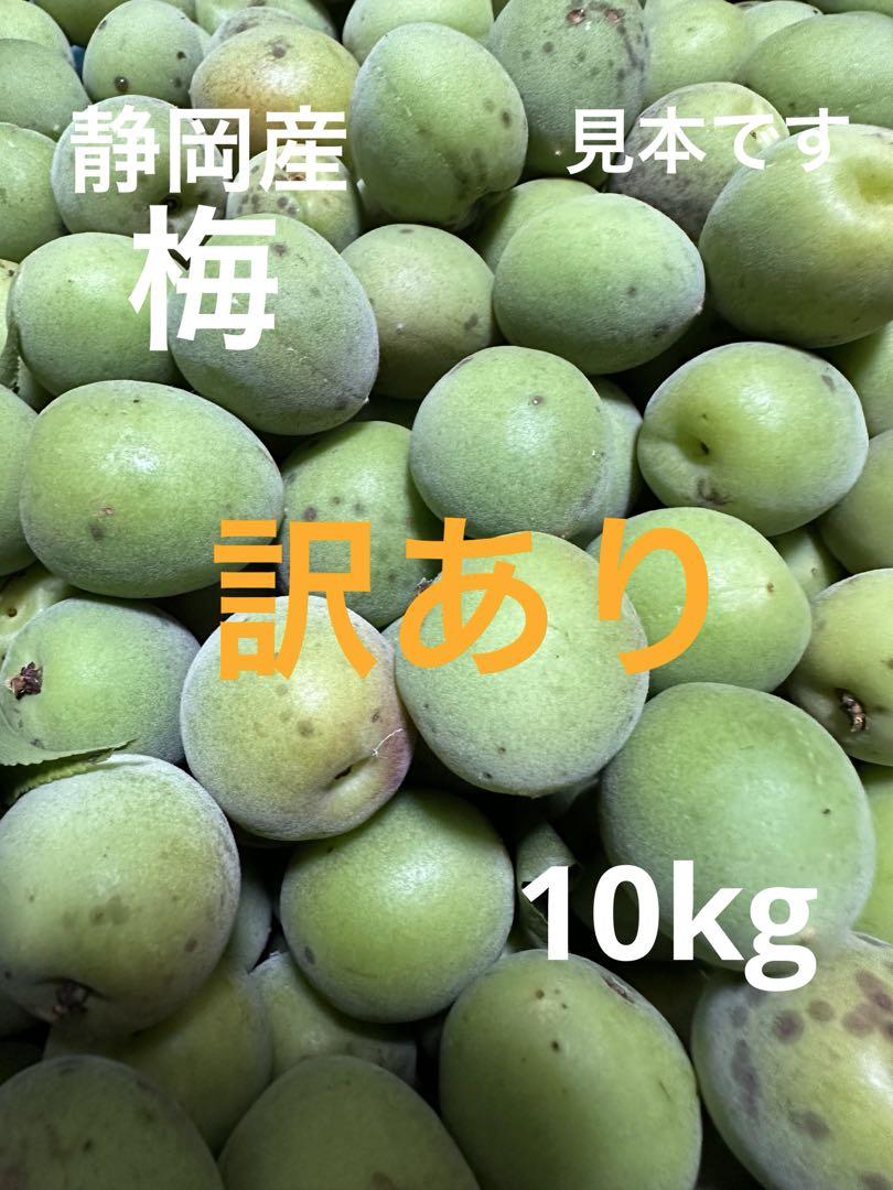 【静岡県産】訳あり 無農薬 梅 青梅 10kg