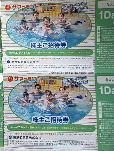 2枚セット 東京サマーランド　東京都競馬　株主優待券 10月14日迄