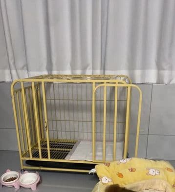 プレミアム・イエローメタルドッグケージ