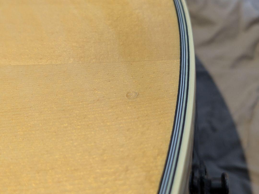 Yamaha LS6 エレアコ