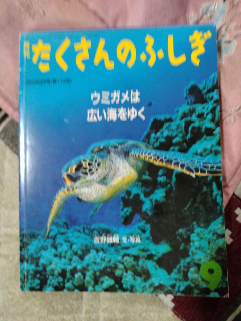 たくさんのふしぎ1999年版１１冊セット福音館書店