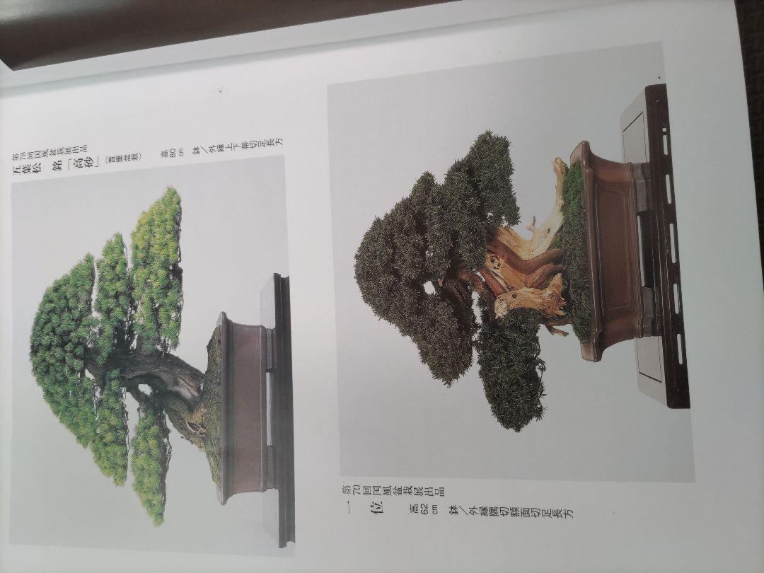 中野行山.栄 35年の歩み 盆栽鉢集 （行 山 | 盆栽、盆栽書籍