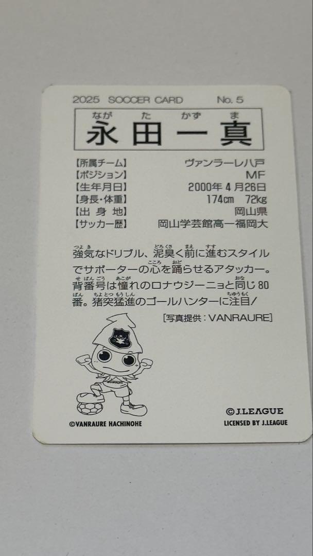 Jリーグチップス復刻版 永田一真選手 ヴァンフォーレ八戸