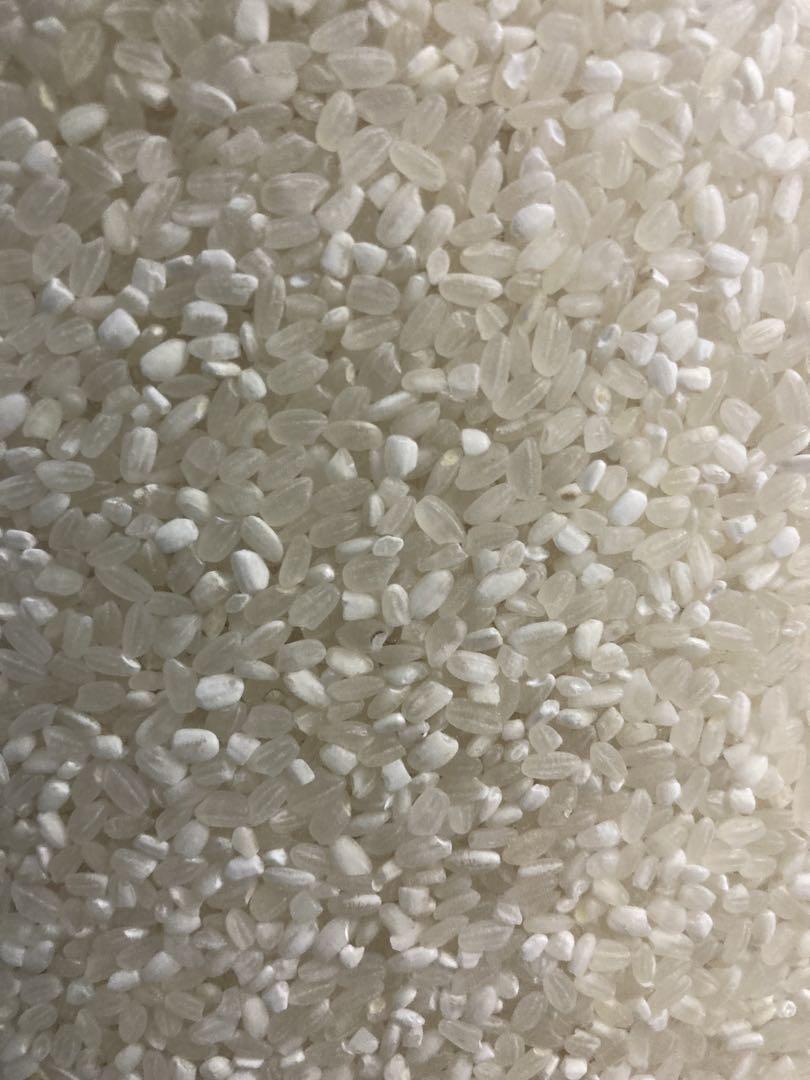 【リピーター様多数】コスパ米20kg(5kg×4袋)お米　白米【令和6年新米入】