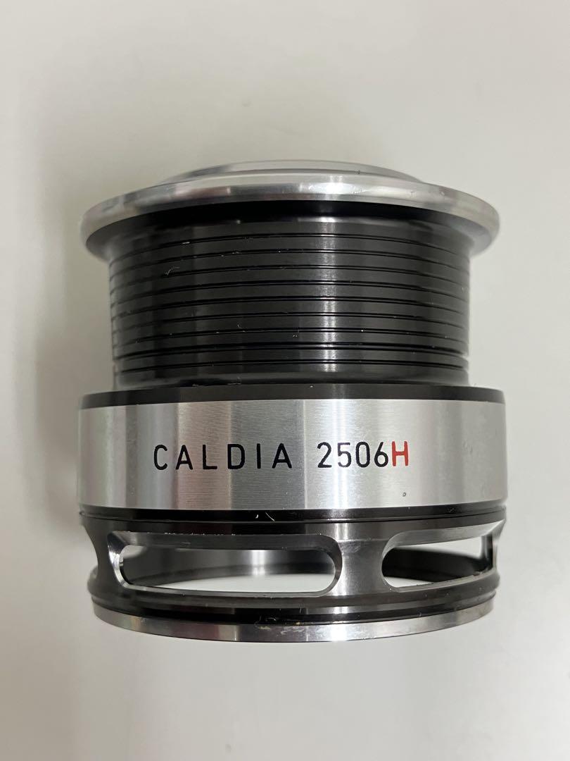Daiwa 14 Caldia 2508H Spinning Fishing JDM Reel | eBay