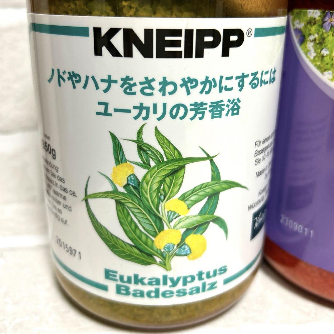 クナイプ　バスソルト　850g (ユーカリ、スミレ、スーパーミント) アソート