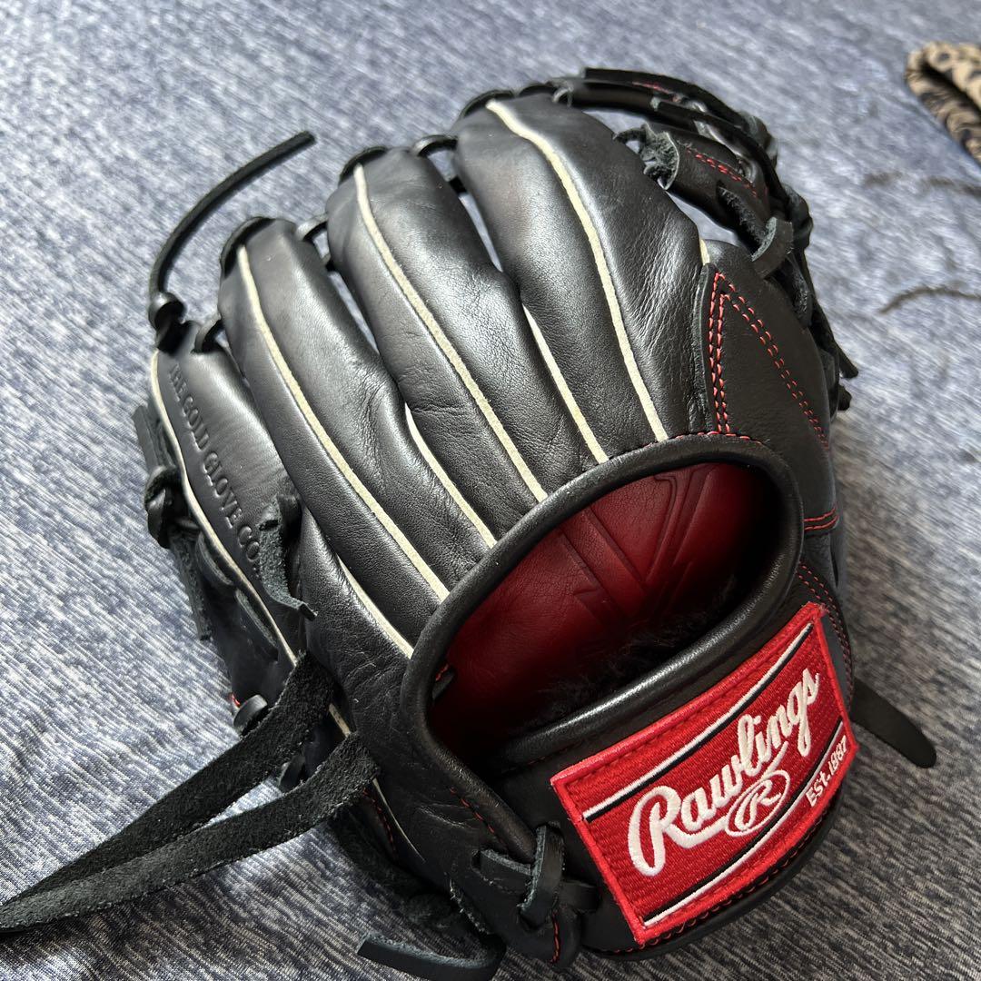 Rawlings 軟式グローブ The Gold Glove Co.