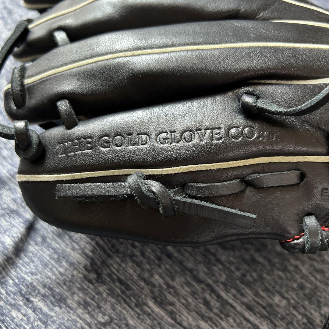 Rawlings 軟式グローブ The Gold Glove Co.