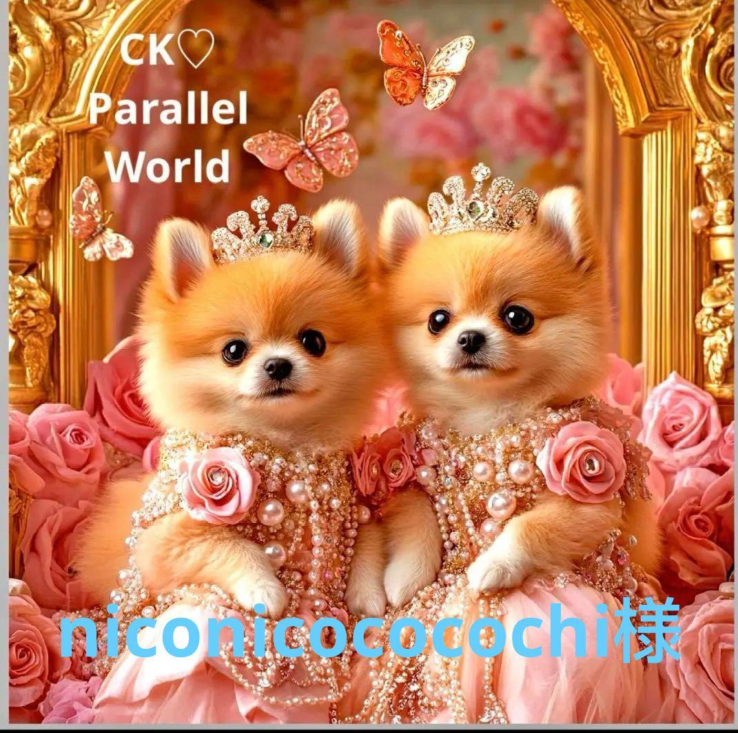 125　★オーダーページ★ハンカチ　ポメラニアン柄6/30