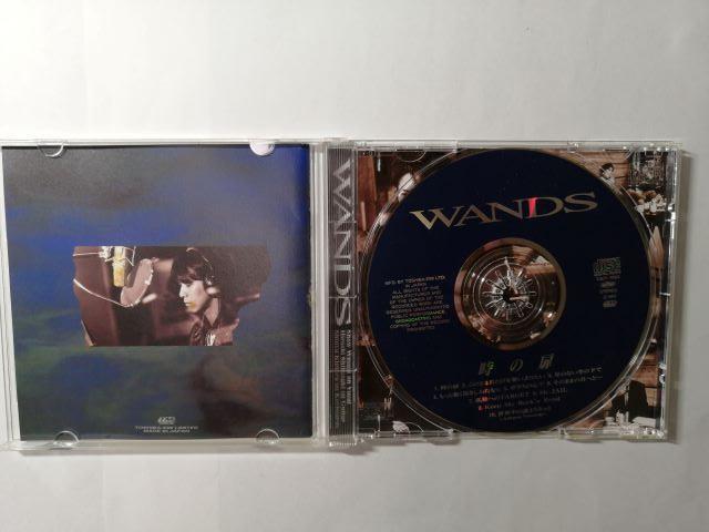 WANDS　CD DVDセット 51IHOYzvJaL.jpg