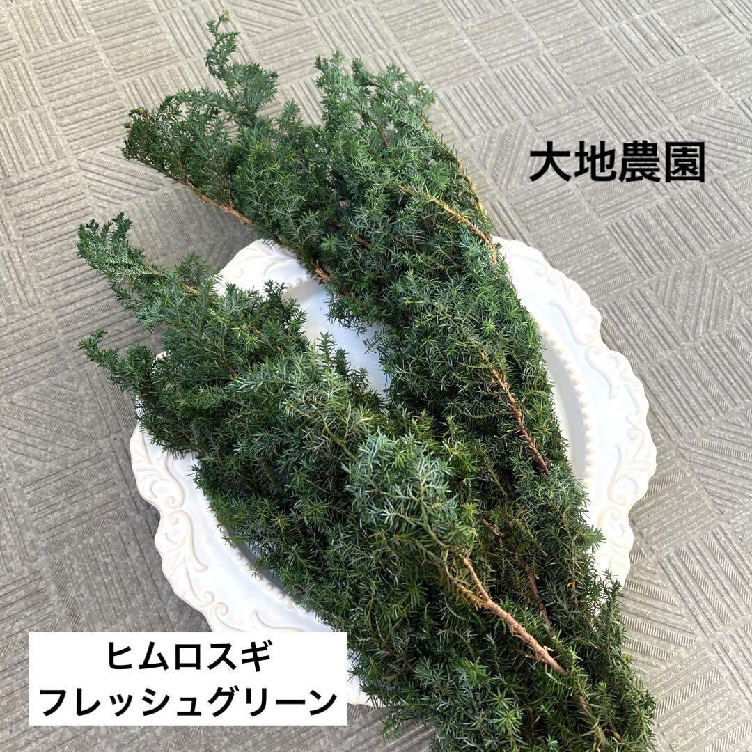 Bちゃん様　ご専用