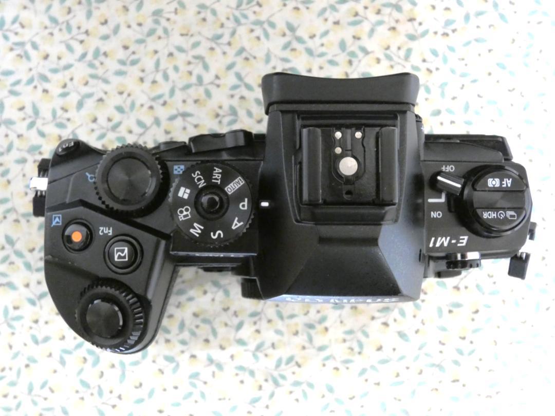 OLYMPUS OM-D E-M1 ボディ ブラック
