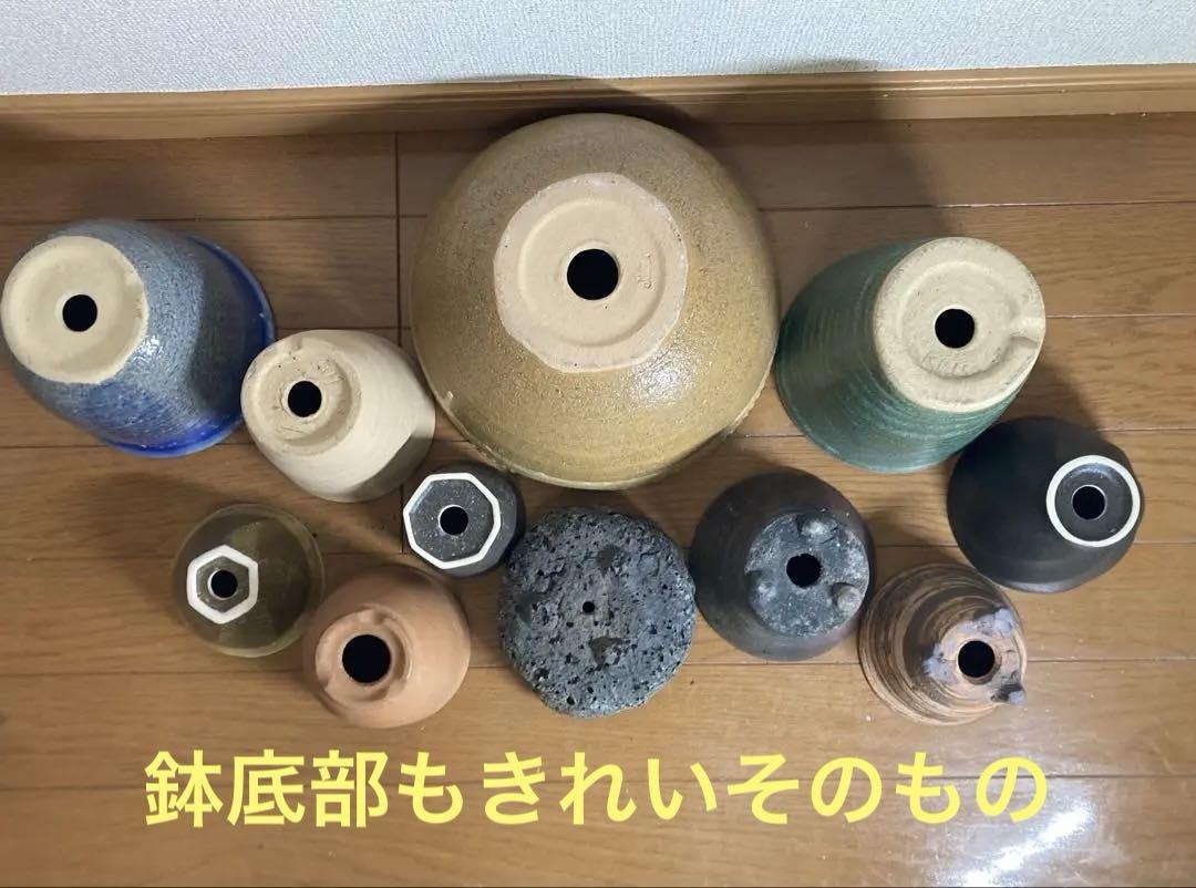 ☆激渋☆窯元職人陶器鉢 バラエティセット サイズ、形、産地