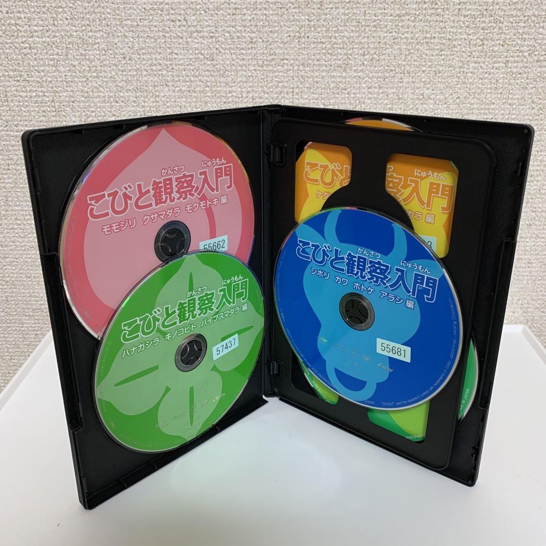 新品ケース こびと観察入門 こびと大研究 DVD計10巻セット｜アニメ