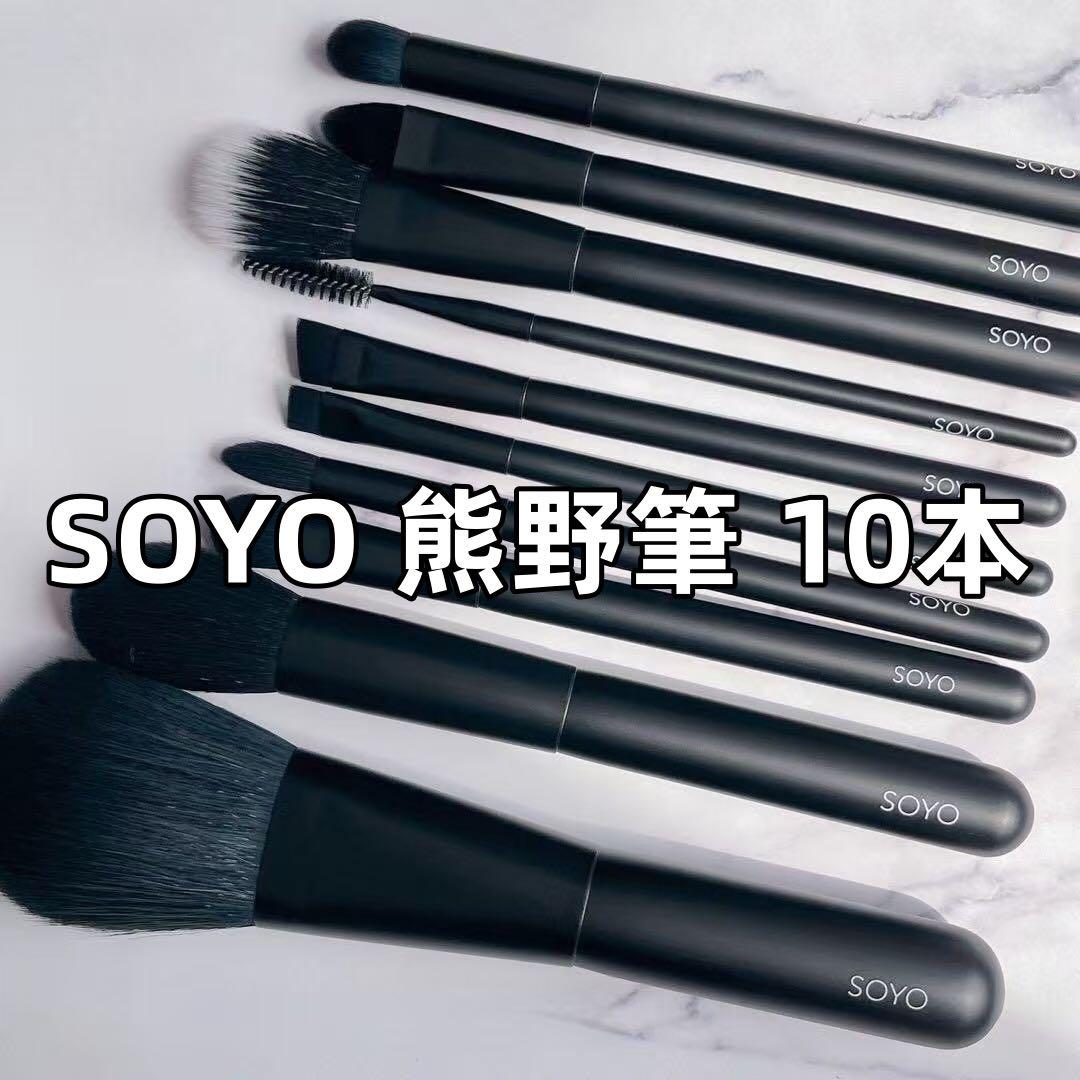 SOYO ブラシ ディスカバー フルセット（10本+ケース付） 試してみた】SOYO SOYO ディスカバー フルセット （10本＋ケース