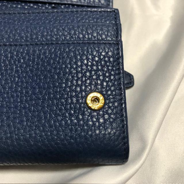 ヴィッテロダイノ