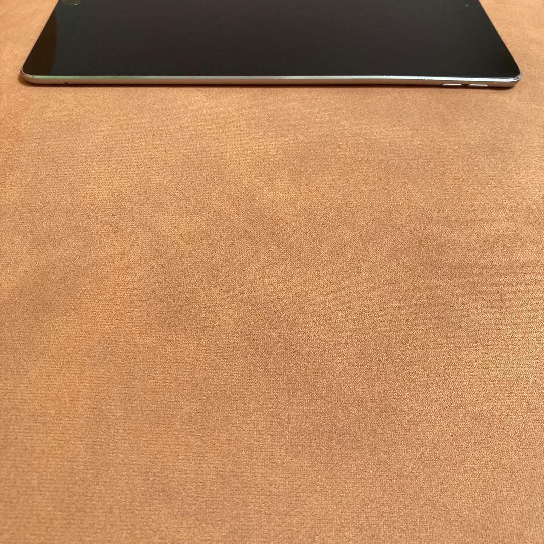 230 電池最良好☆iPad Pro 64GB 10.5インチ SIMフリー☆